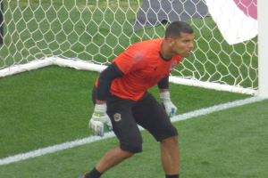 Ein Mann in rotem Trikot und schwarzen Shorts spielt Fussball auf einem grünen Feld, trägt Handschuhe und hat ein Tor im Hintergrund.