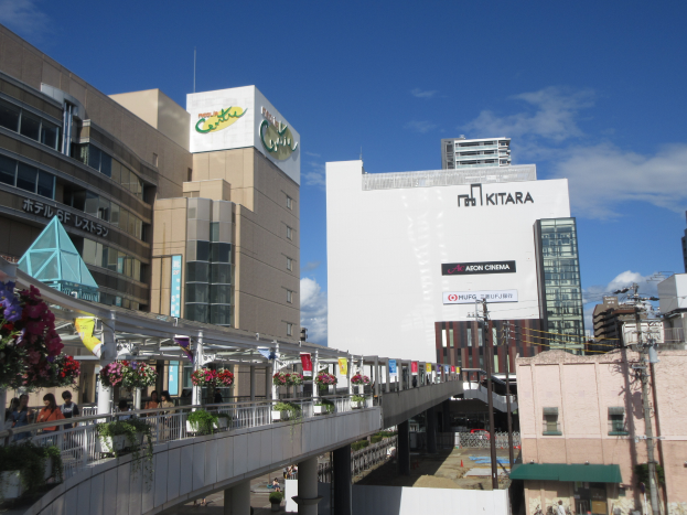 Eine belebte Straße mit hohen Gebäuden, eine Brücke mit Geländern, Topfpflanzen, Passanten, Strommasten mit Drähten und ein bewölkter Himmel.