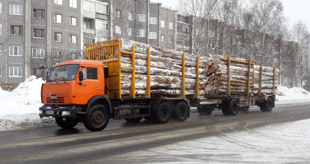 Ein Holztransport-Lkw, der Holz auf einer schneebedeckten Straße transportiert, mit Bäumen, fensterbewehrten Gebäuden und einem klaren Himmel im Hintergrund.