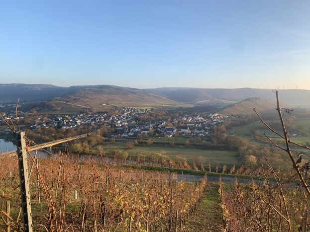 Eine malerische Aussicht auf das Rheintal von einem Hügel aus, mit grünen Blättern, Häusern und einer Brücke, die den Fluss überspannt, vor einem blauen Himmel mit welligen Hügeln im Hintergrund.