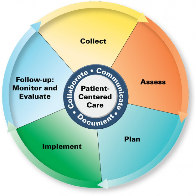 Ein Kreisdiagramm mit der Bezeichnung "patientenorientierte Versorgung" mit vier farbigen Abschnitten, von denen jeder einen bestimmten Aspekt der Versorgung bezeichnet.
