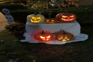 Eine Gruppe von geschnitzten Kürbissen auf einem weißen, tuchbedeckten Tisch, umgeben von Gras und trockenen Blättern, mit Pflanzen, Bäumen und einer Wand im Hintergrund.