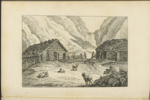 Ein aufgeschlagenes Buch mit einer Farm-Szene, die Tiere, Häuser, einen Zaun, Hüllen und Pflanzen zeigt.