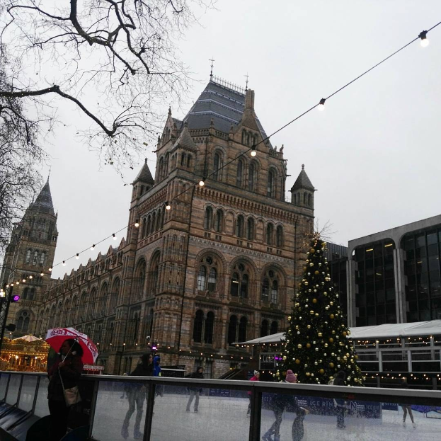 Menschen auf einer Eisbahn vor dem Naturkundemuseum in London mit einem geschmückten Weihnachtsbaum und einer Person mit einem Schirm.