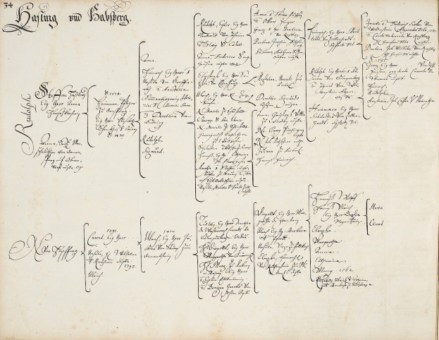 Ein altes Buch mit handgeschriebenem Familienbaum, einschließlich der Namen der Familienmitglieder, die in einen Autounfall verwickelt waren.