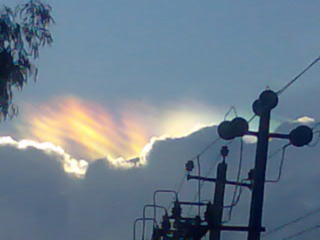 Mehrere Strommasten stehen in einer Reihe mit einem Ast im oberen linken Eck und einer Wolke am Himmel.