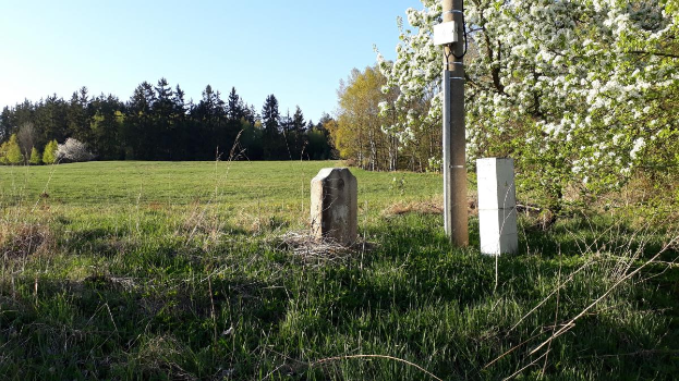 Eine grüne Wiese mit einem zentralen Baum, umgeben von Bäumen und einem klaren blauen Himmel, mit einem Pfahl und zwei Betonblöcken im Vordergrund, wahrscheinlich Teil eines Denkmals.