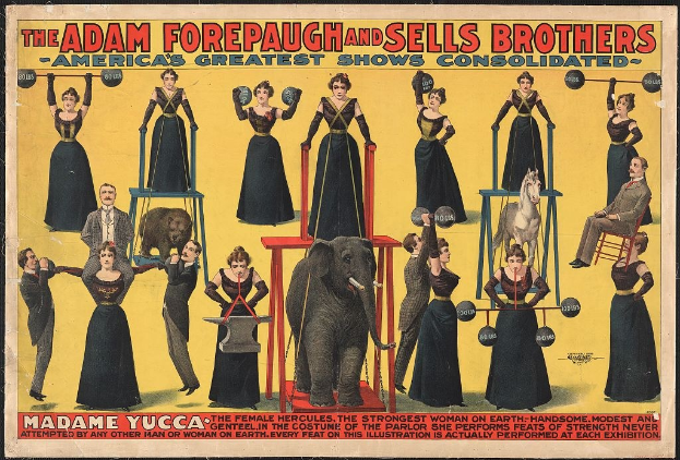 Plakat für die vereinigten Zirkusshow von Adam Forepaugh und Sells Brothers mit Performern auf Hockern und einem Elefanten in der Mitte sowie Werbetext.