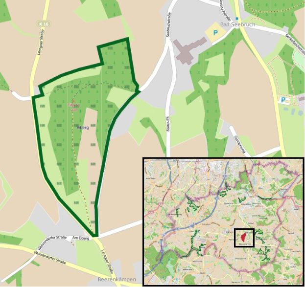 Karte einer Stadt mit einem zentralen grünen Bereich, der als geplanter Baustandort markiert ist, umgeben von Straßen, Gebäuden und Sehenswürdigkeiten.