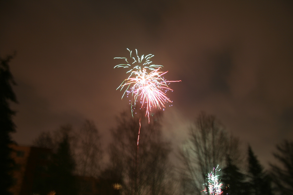 Umgestürzte Bäume mit Feuerwerk und Wolken im Hintergrundhimmel.