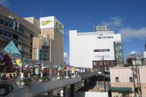 Eine belebte Straße mit hohen Gebäuden, eine Brücke mit Geländern, Topfpflanzen, Passanten, Strommasten mit Drähten und ein bewölkter Himmel.