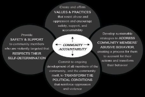 Ein Diagramm mit der Überschrift "Gemeinschaftliche Rechenschaftspflicht" und einem zentralen Kreis, der durch Pfeile mit drei überlappenden Kreisen verbunden ist, alles in fetter, leuchtender Schrift.